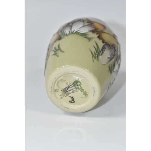 803 - A MOORCROFT POTTERY MAGICAL TOADSTOOL VASE, featuring tube line pattern Magical Toadstool, on a sage... 