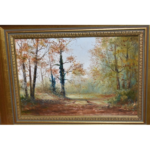 1001 - JAMES ALLEN (CONTEMPORARY) 'AUTUMN NEAR FRAMLINGTON, SUFFOLK', a woodland landscape with pheasants, ... 