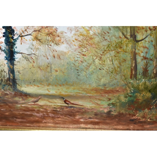 1001 - JAMES ALLEN (CONTEMPORARY) 'AUTUMN NEAR FRAMLINGTON, SUFFOLK', a woodland landscape with pheasants, ... 
