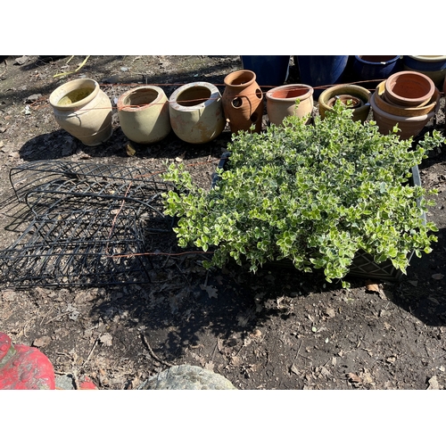 Lot 6         