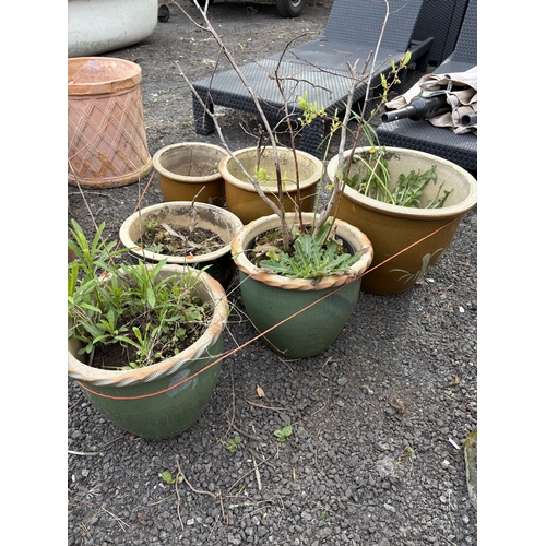 24 - SIX GREEN AND BROWN GLAZED PLANT POTS, of different sizes, one containing a plant, largest diameter ... 