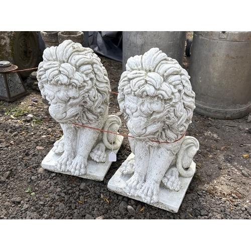 4 - A PAIR OF WHITE PAINTED CONCRETE GARDEN FIGURES, of seated lions, height 43cm, condition report: no ... 