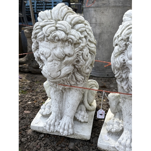 4 - A PAIR OF WHITE PAINTED CONCRETE GARDEN FIGURES, of seated lions, height 43cm, condition report: no ... 