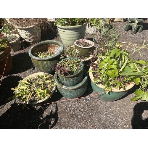 Lot 29        