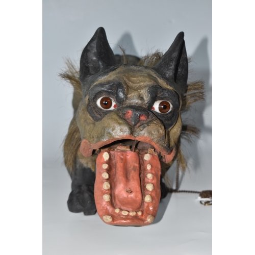 821 - A FRENCH BULLDOG 'GROWLER' TOY, circa 1890-1900, of flocked papier mache construction, with chain le... 