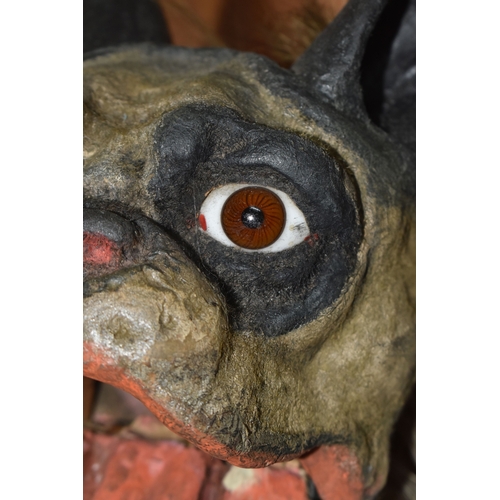821 - A FRENCH BULLDOG 'GROWLER' TOY, circa 1890-1900, of flocked papier mache construction, with chain le... 