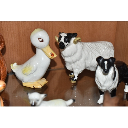 808 - A GROUP OF BESWICK ANIMALS, comprising three Squirrels model no 1007, no 1008 and no 1009, four Rabb... 