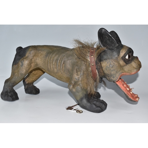 821 - A FRENCH BULLDOG 'GROWLER' TOY, circa 1890-1900, of flocked papier mache construction, with chain le... 