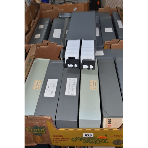 Lot 873       