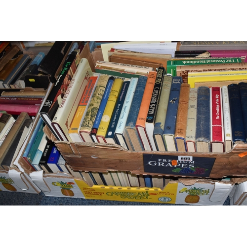 Lot 885       
