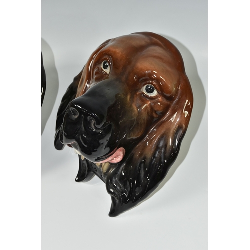 799 - TWO LARGE BESWICK DOG WALL PLAQUES, comprising two plaques of  setters heads, model no. 668, heights... 
