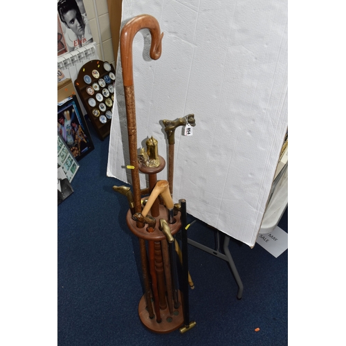 Lot 854       