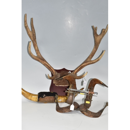 Lot 875       