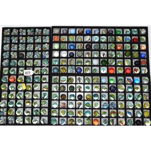 Lot 877       