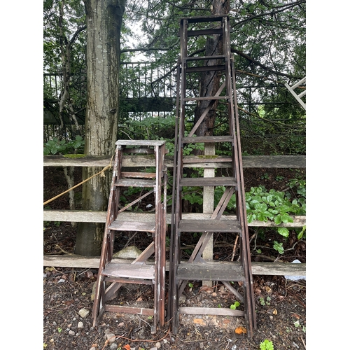 Lot 27        
