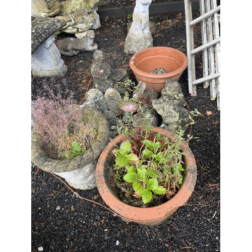 Lot 30        