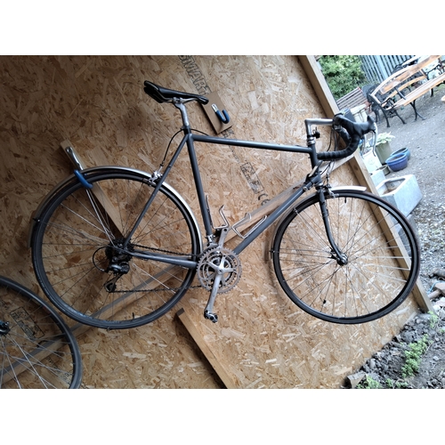 Lot 4         
