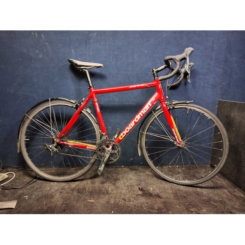 Lot 51        