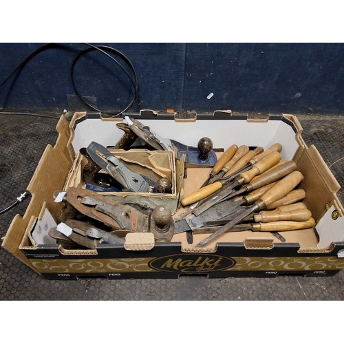 Lot 54        