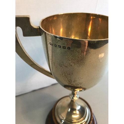 7 - Victorian Birmingham silver large two handled trophy with hardwood stand. Makers Elkington & c. Date... 