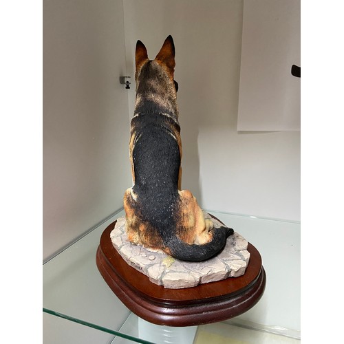 7A - A Large Border Fine Arts German Shepherd figurine. Comes with original wooden display stand. Model M... 