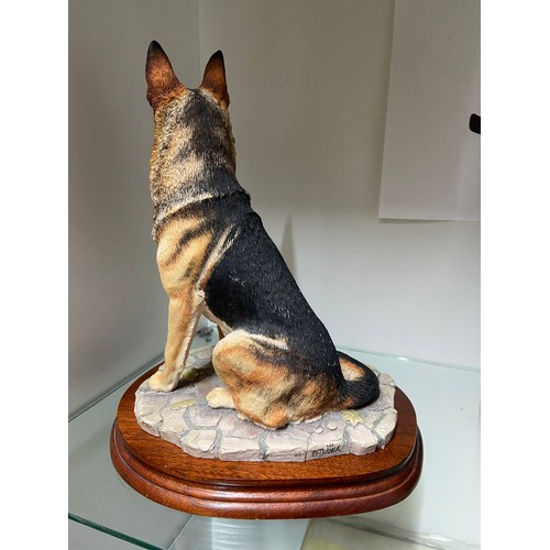 7A - A Large Border Fine Arts German Shepherd figurine. Comes with original wooden display stand. Model M... 