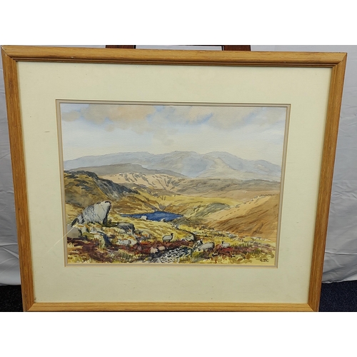 265 - An original watercolour depicting Easdale Tarn From Blea Rigg by RCD Lowry. Dated 1995. [48x55cm- fr... 