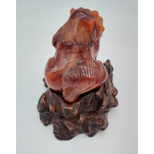 385 - Antique 19th century heavy Chinese red agate hand carved foo dog sat upon a hand carved wooden stand... 