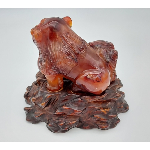 385 - Antique 19th century heavy Chinese red agate hand carved foo dog sat upon a hand carved wooden stand... 