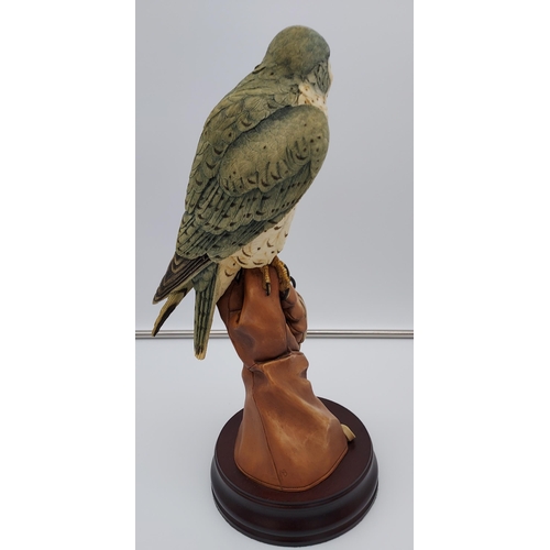 45 - Sherratt & Simpson 
Large porcelain model of a kestrel sat on a glove. No.76. [37cm in height]