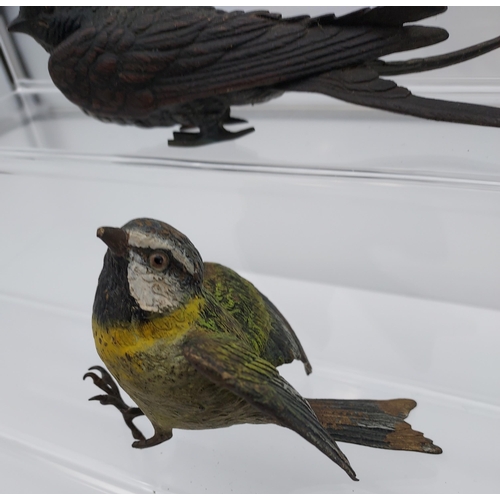 67 - Two Antique cold painted bronze bird sculptures. One missing foot. [14cm in length]