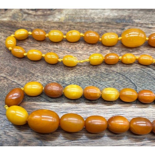 23 - A Lot of two vintage Butterscotch amber bead necklaces. One has a silver clasp. [Total weight 44.34g... 