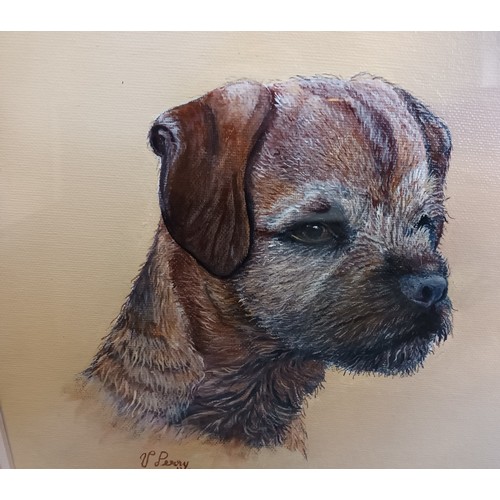 178 - Acrylic on board 'Border Terrier' by Victor Perry
[46x37cm]