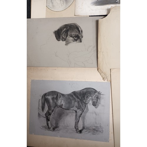 193 - 19th Century Art Portfolio of Susan C Ewing [1871] various sketches, engravings of horses and dogs. ... 