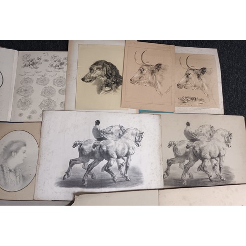 193 - 19th Century Art Portfolio of Susan C Ewing [1871] various sketches, engravings of horses and dogs. ... 