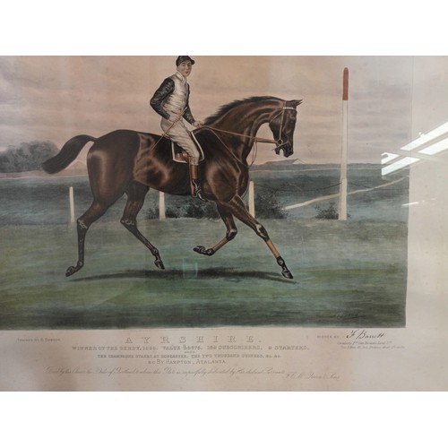 185 - Large Antique coloured engraving titled 'McQueen's Derby Winners' [75x96cm]