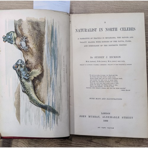 481 - Hickson, Sydney J.: A Naturalist in North Celebes. 1889. First edition. 2 folding coloured maps, 35 ... 