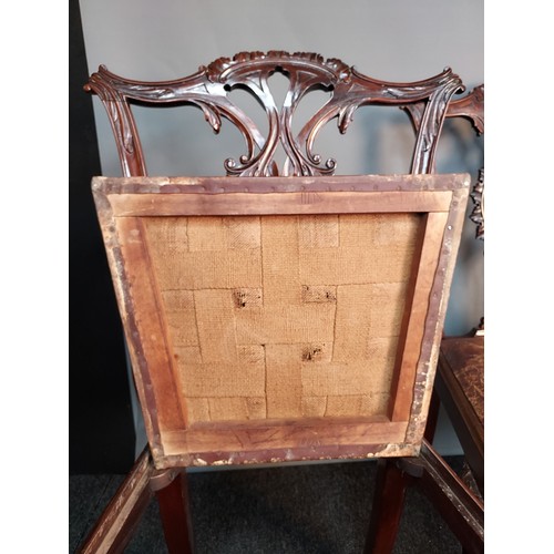 224 - Trio of Victorian mahogany chairs, the highly carved shaped back with central carved and pierced spl... 