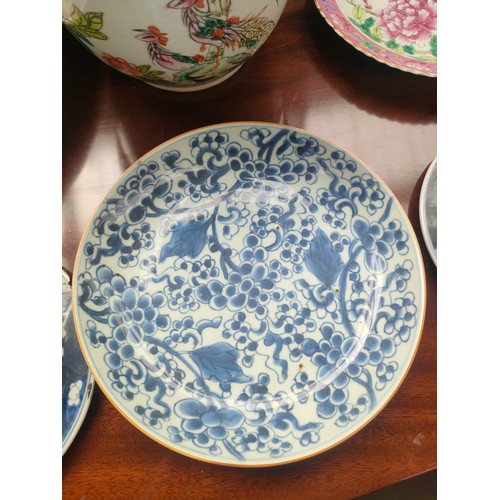 60 - Lot of early Chinese plates , server plate together with fish planter and two blue and white lids [W... 