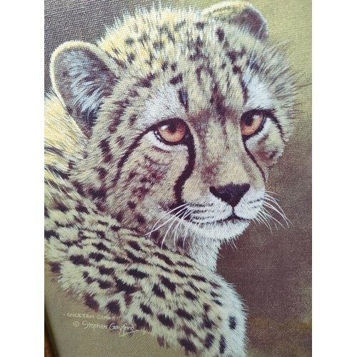 356 - Pair of Stephen Gayford wild cat prints framed, both signed in gold pen.