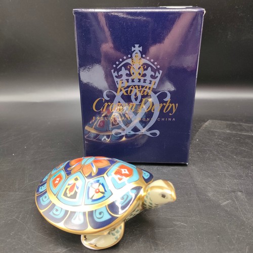 61 - Royal crown Derby gold special edition Terrapin with box . 10 cm in length.