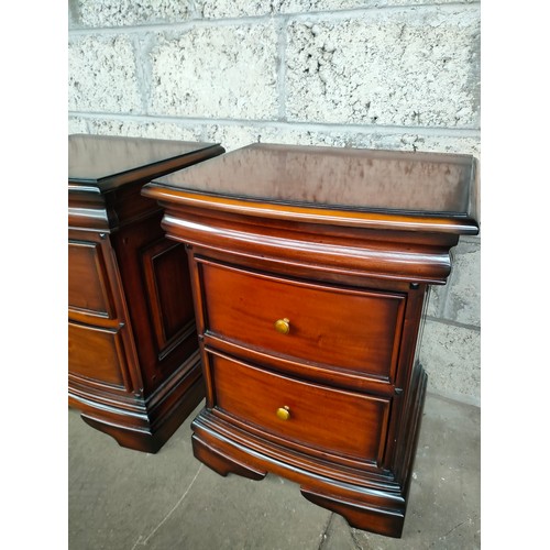 204 - Pair of Antoinette French Sleigh bed side cabinets.