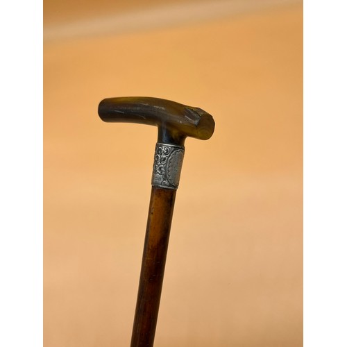 45 - Antique Horn handle, silver collar and Malacca shaft walking cane. [84cm in length]