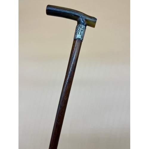 45 - Antique Horn handle, silver collar and Malacca shaft walking cane. [84cm in length]