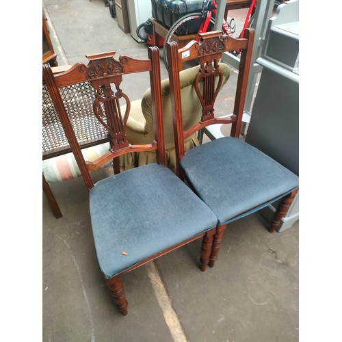 209 - Pair of Victorian parlour chairs .