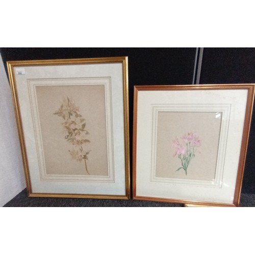 200 - Various watercolours depicting flowers, unknown 19th century English school artist [62x50cm]