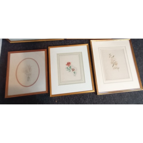 200 - Various watercolours depicting flowers, unknown 19th century English school artist [62x50cm]