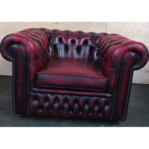 354 - Ox blood leather Chesterfield club chair.