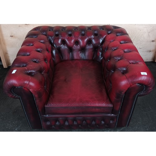 354 - Ox blood leather Chesterfield club chair.