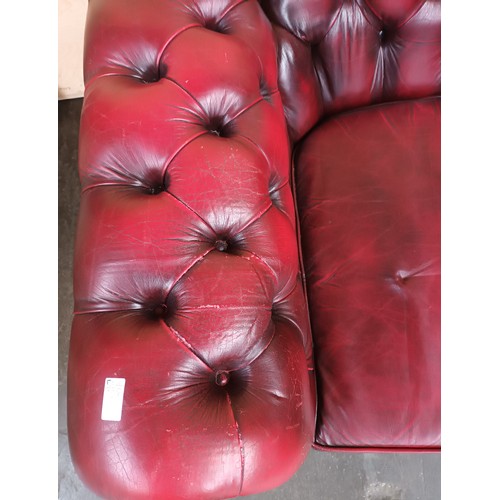 354 - Ox blood leather Chesterfield club chair.